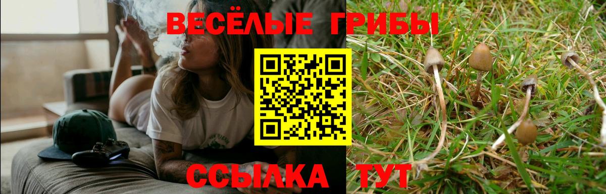 Псилоцибиновые грибы мухоморы Кировск